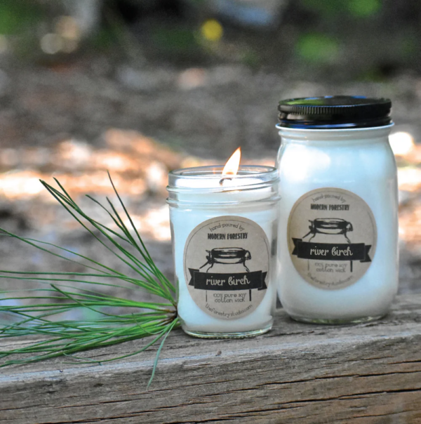 River Birch - Modern Forestry Candle
